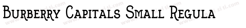 Burberry Capitals Small Regular字体转换